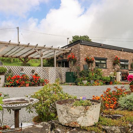 Ffynnonlwyd Cottage Llangynin Exteriör bild