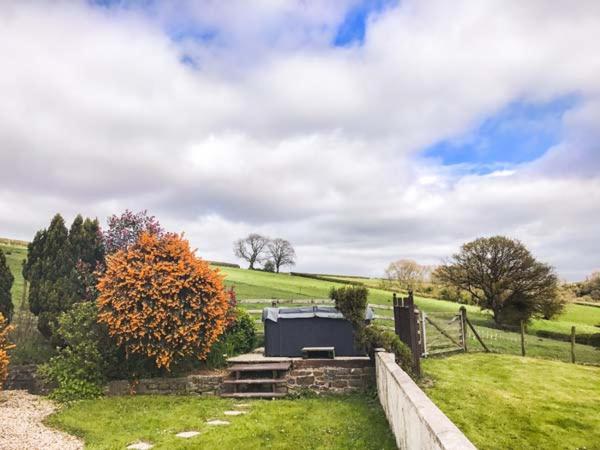 Ffynnonlwyd Cottage Llangynin Exteriör bild