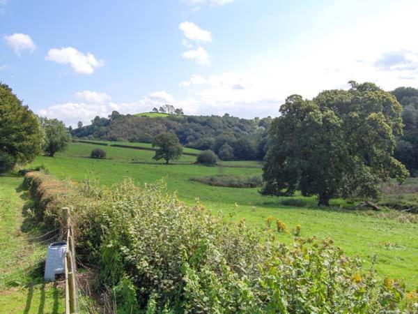 Ffynnonlwyd Cottage Llangynin Exteriör bild